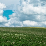 北海道デカ盛りアイキャッチ画像