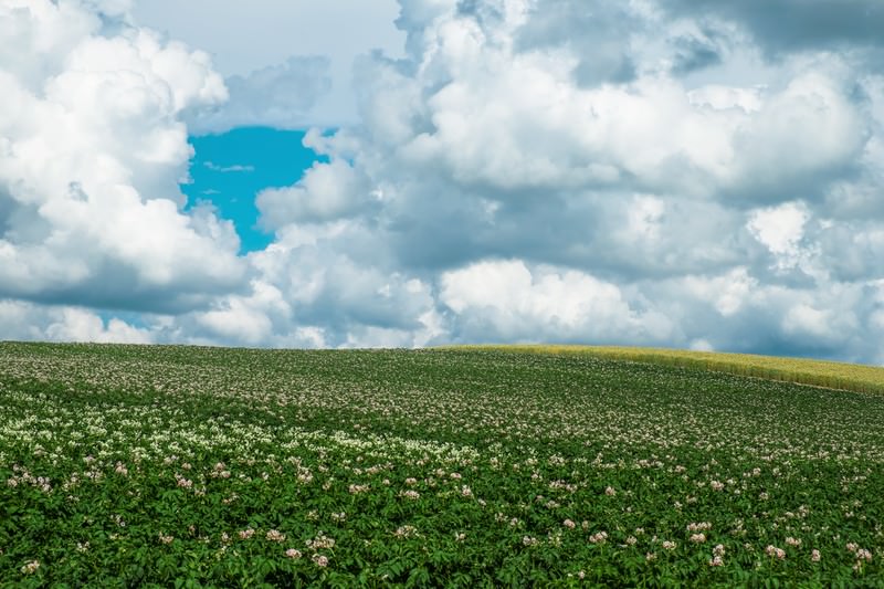 北海道デカ盛りアイキャッチ画像
