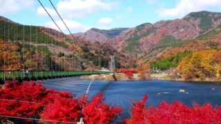 Thumbnail of post image 004