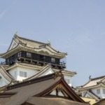 Thumbnail of post image 106