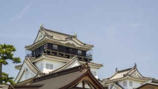 Thumbnail of post image 014