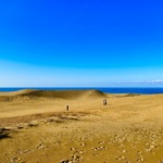 Thumbnail of post image 124