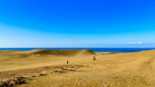 Thumbnail of post image 113